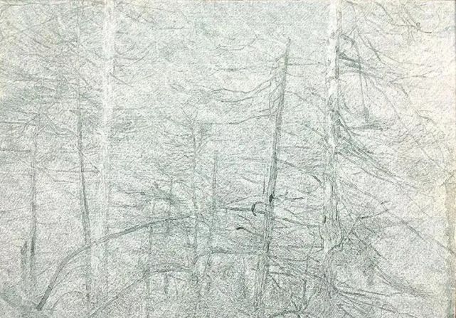 20220425_115052_001.jpg
